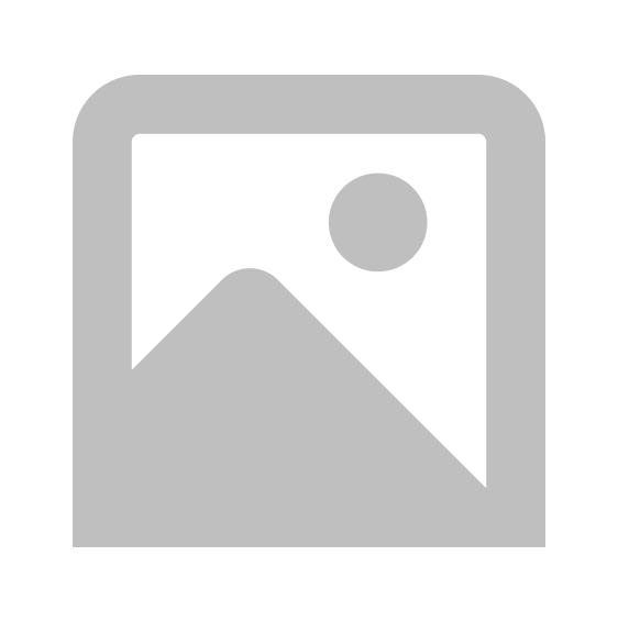 Attorney (Litigation)